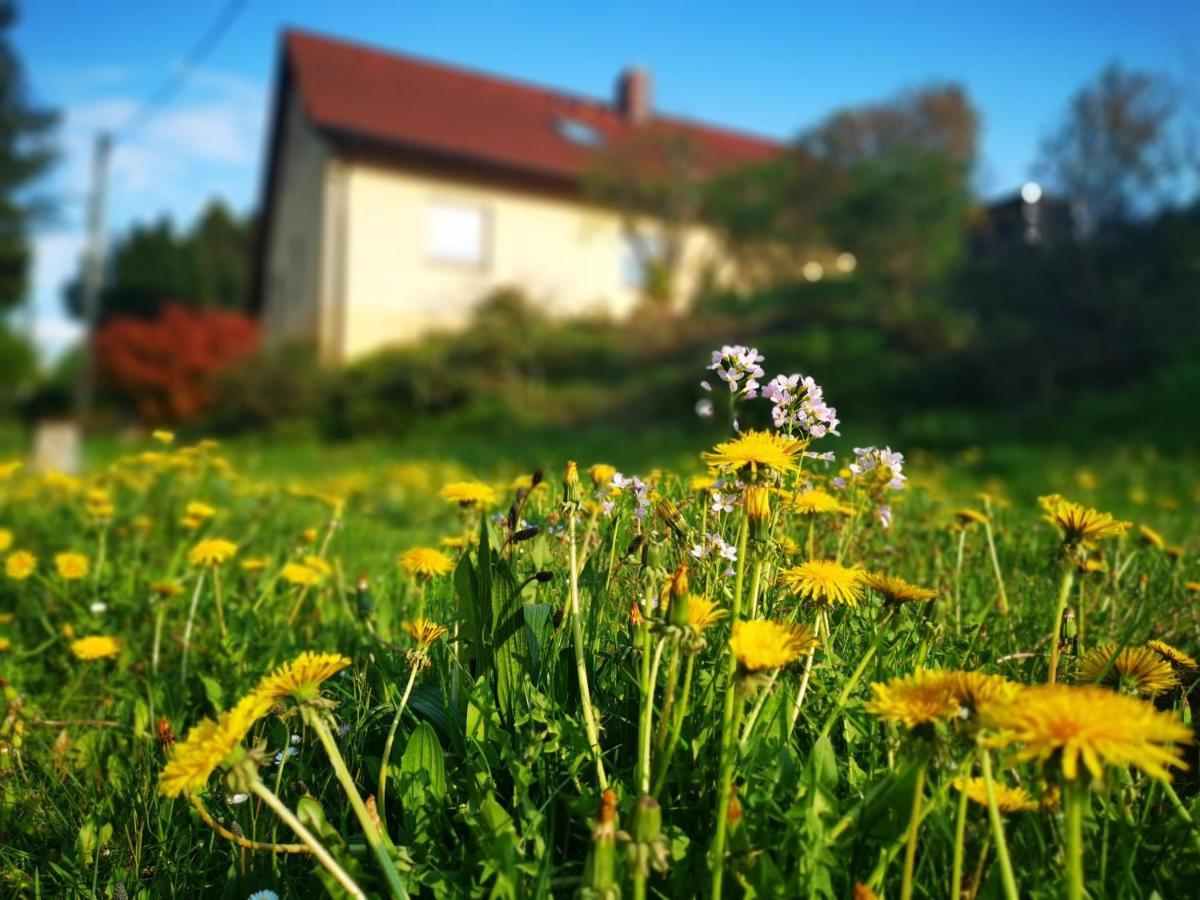 Ferienwohnung Gisela Steinigtwolmsdorf Bagian luar foto